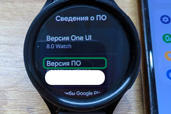 Версия программного обеспечения