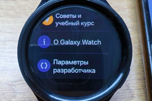 Параметры разработчика